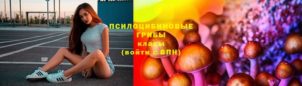 спайс Белокуриха