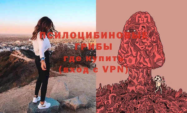 спайс Белокуриха