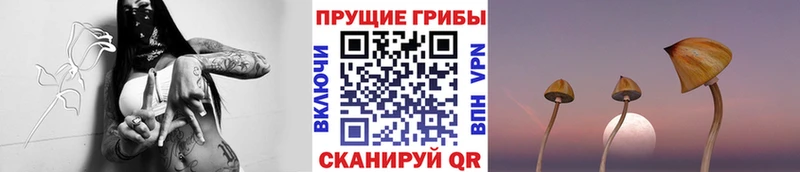 Псилоцибиновые грибы ЛСД  Горячий Ключ 